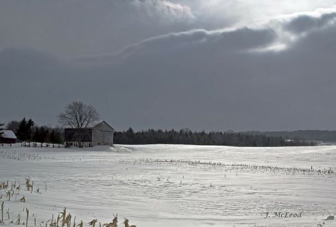 Photo by Judy McLeod