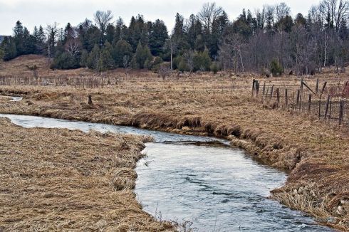 Photo by Judy McLeod